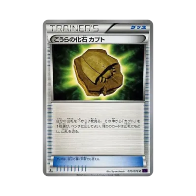 こうらの化石 萬年蟲