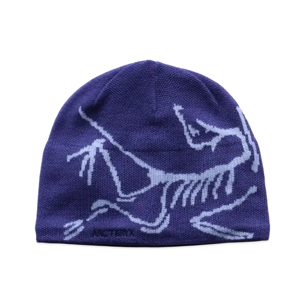 ARC'TERYX Bird Head Toque"Blurple/Kasumi" X00000675634