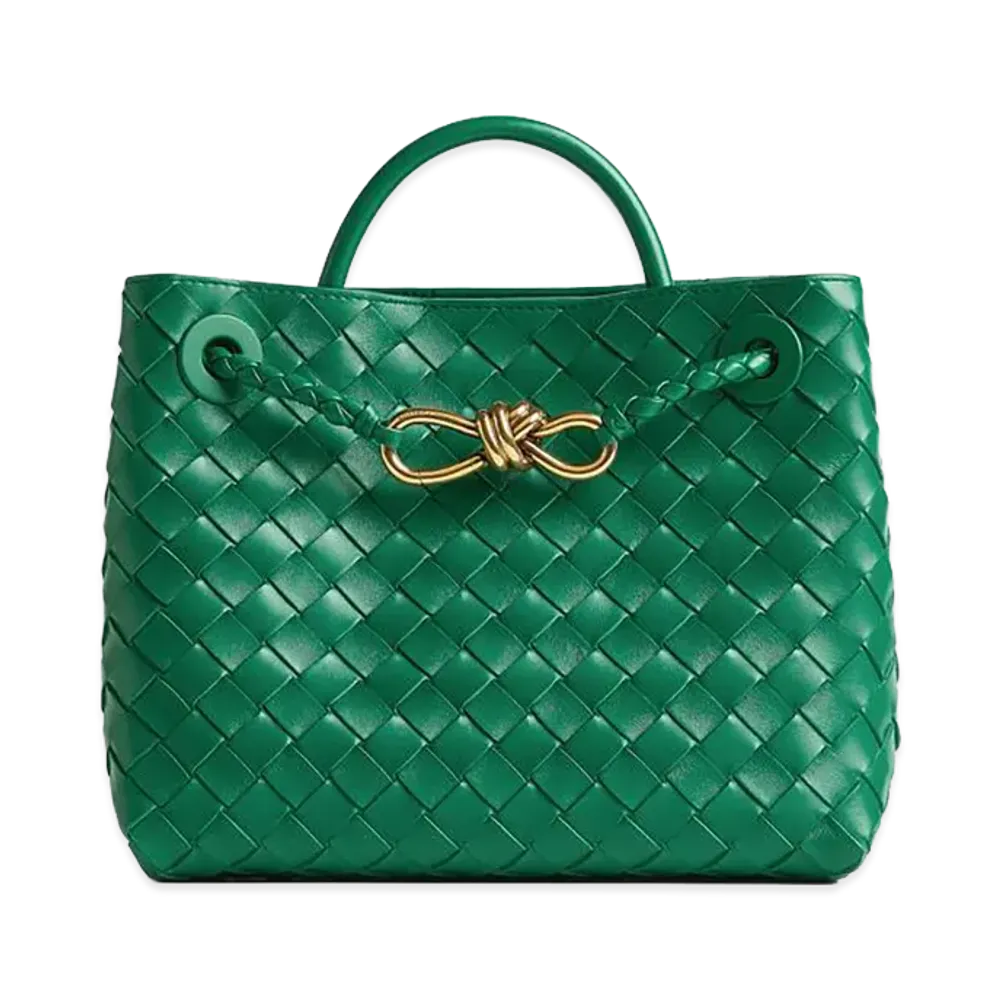 Bottega Veneta Small Andiamo "Jungle"