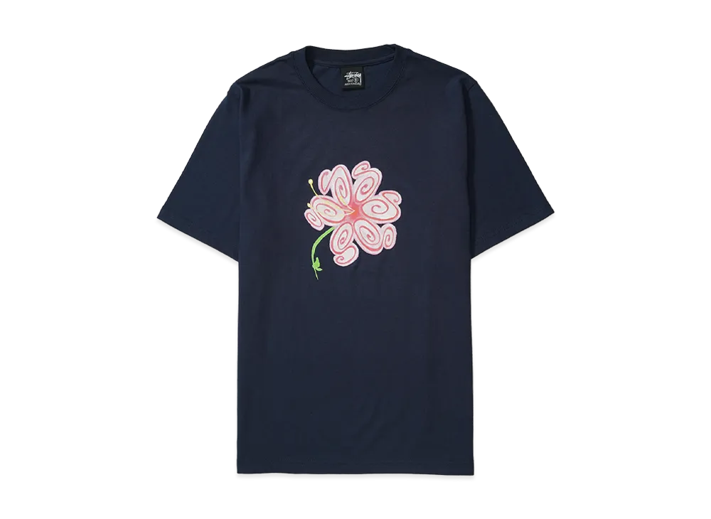 激レア新品未使用 日本未発売STUSSY×PATTA ステューシー stussy Stussy(ステューシー) 人気の新作/中古通販【スニーカーダンク】