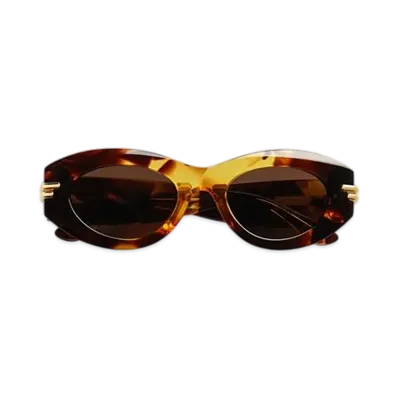 Bottega Veneta Mitre Oval Sunglasses "Havana/Brown"