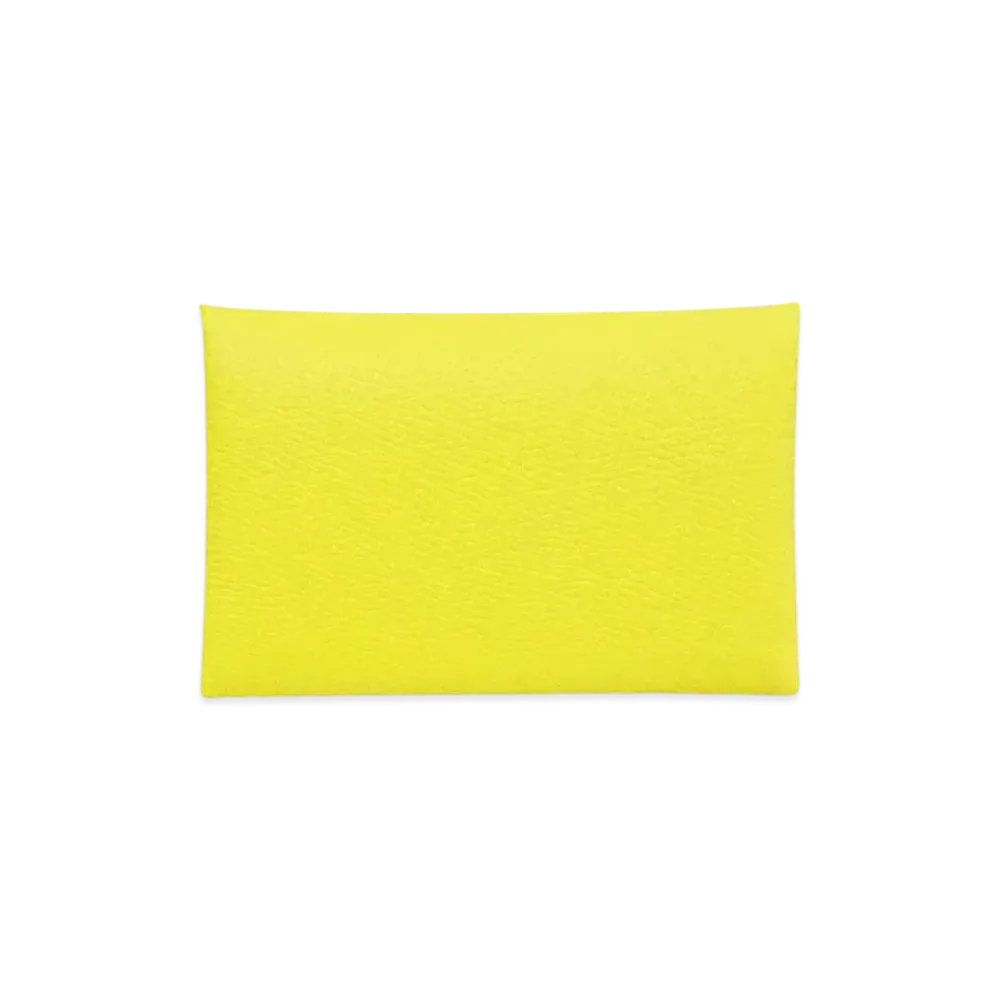 Hermes Calvi Veau Epsom "Lime/Silver"