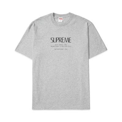 Supreme Anno Domini Tee "Grey"