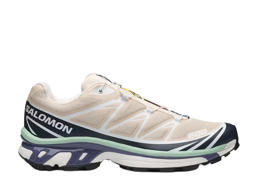 Salomon XT-6 "Tapioca/Spellbound"