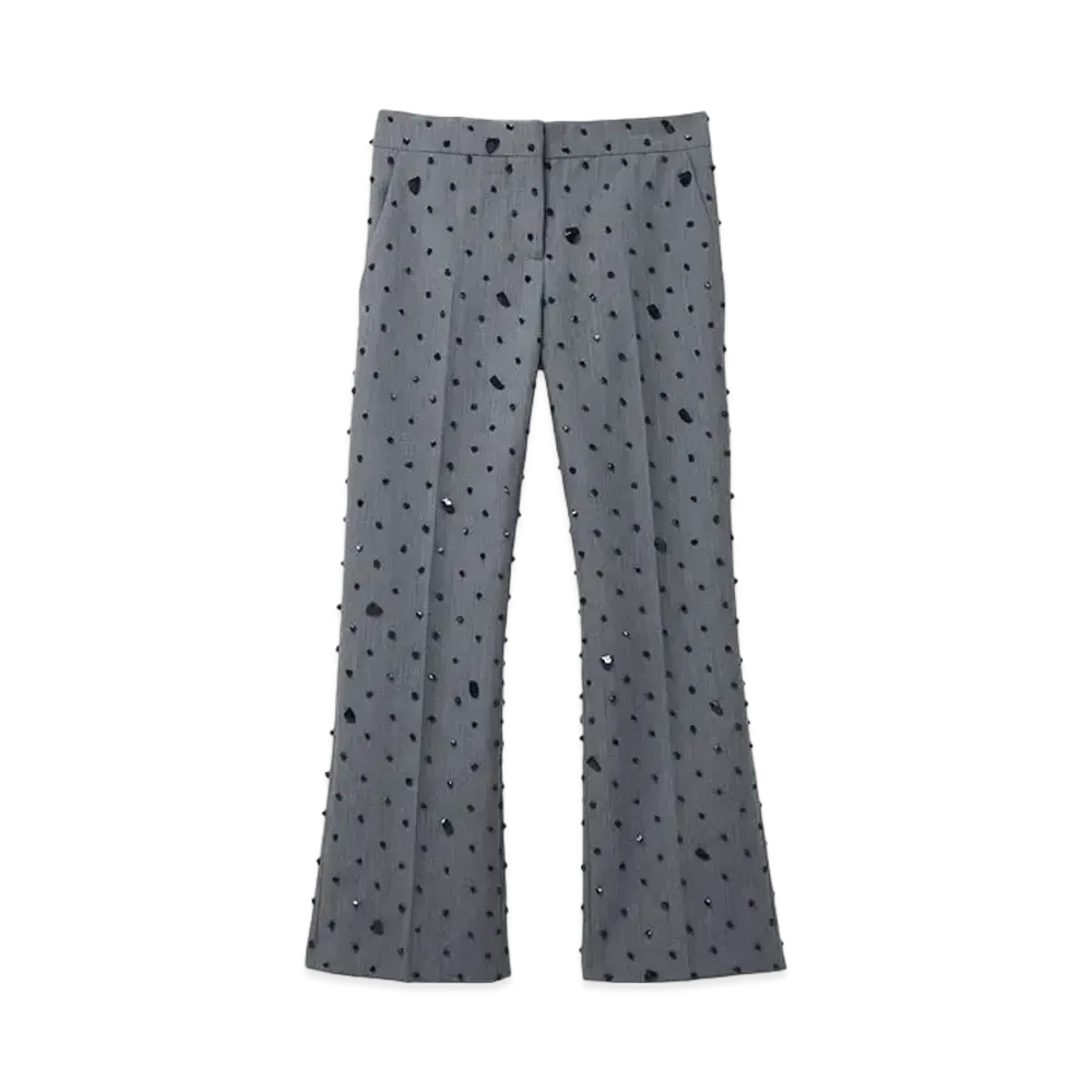 Alexander McQUEEN Cosmic Stone Embroidery Cropped Trousers "Gray"