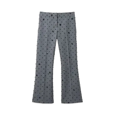 Alexander McQUEEN Cosmic Stone Embroidery Cropped Trousers "Gray"