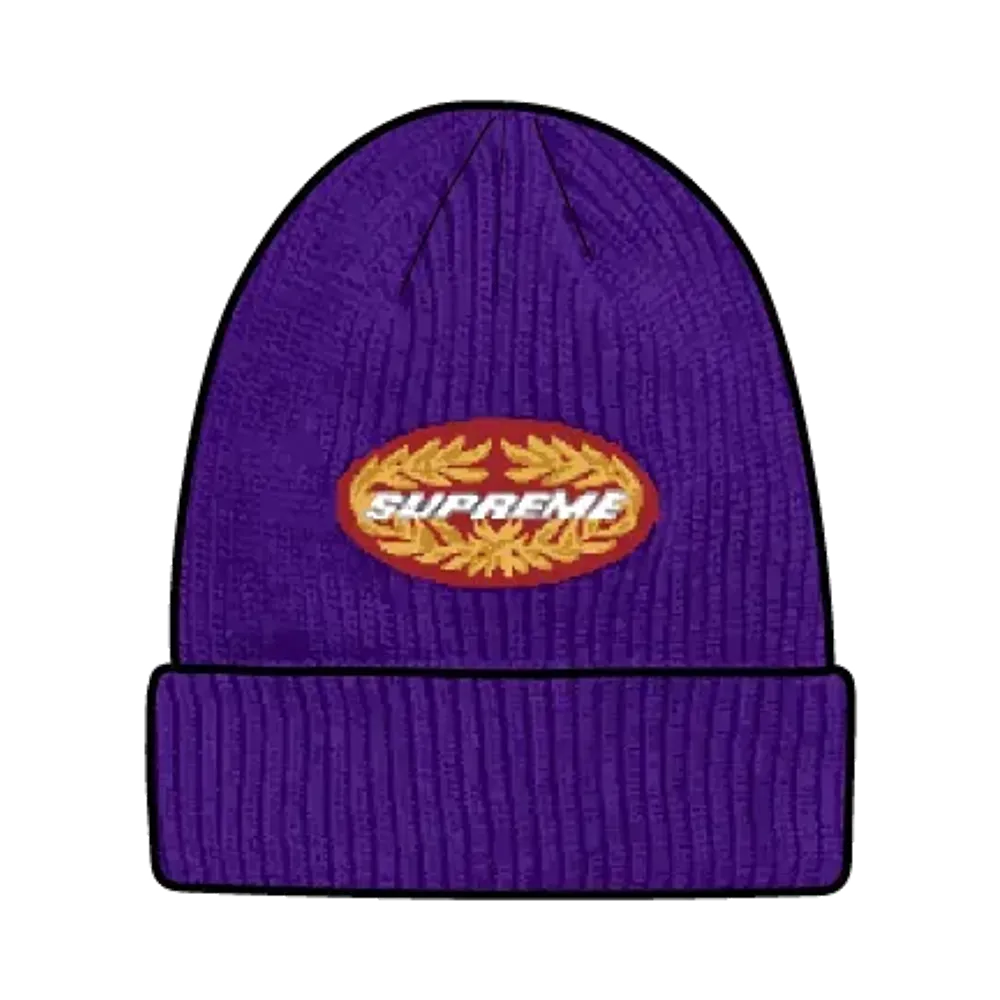 Supreme Terminal Beanie "Purple"