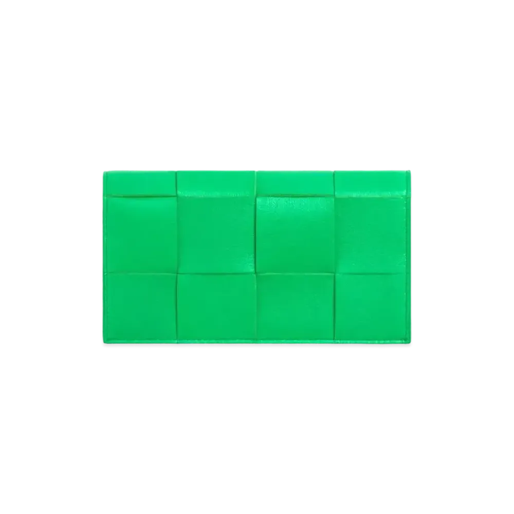Bottega Veneta Glasses Case "Parakeet"