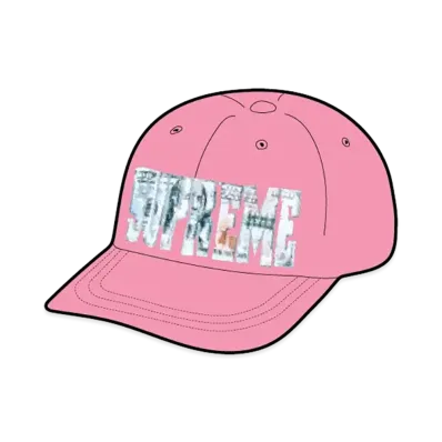 Supreme Embroidered Money Logo 6-Panel "Pink"