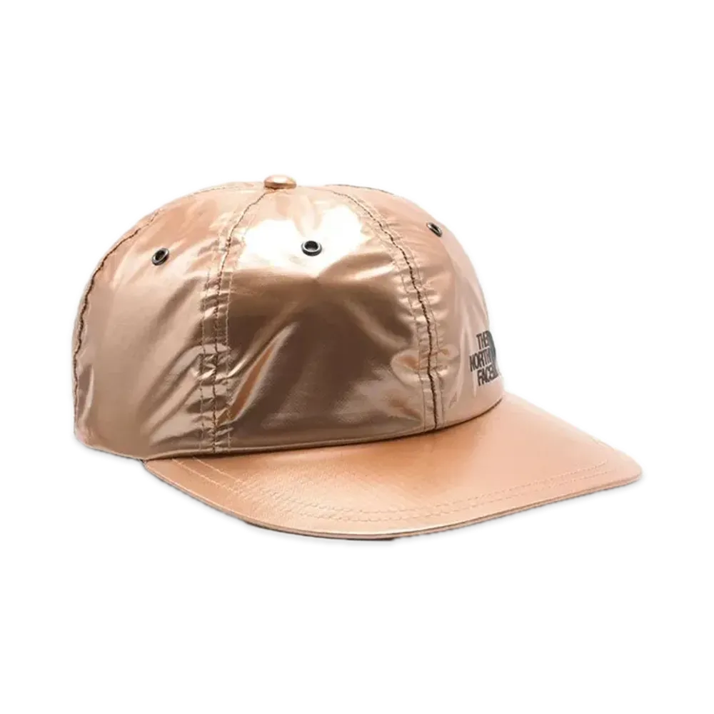 Supreme x The North Face Metallic 6-Panel "Pink"