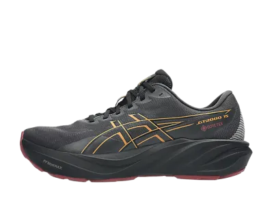 Asics GT-2000 15 GORE-TEX "Graphite Grey/Black"