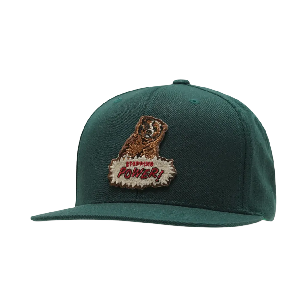 MASSES FULL PANEL CAP BEER "GREEN"