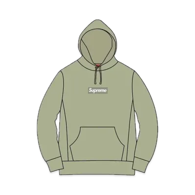 Supreme Box Logo Hooded Sweatshirt "Sage Green" (16FW)