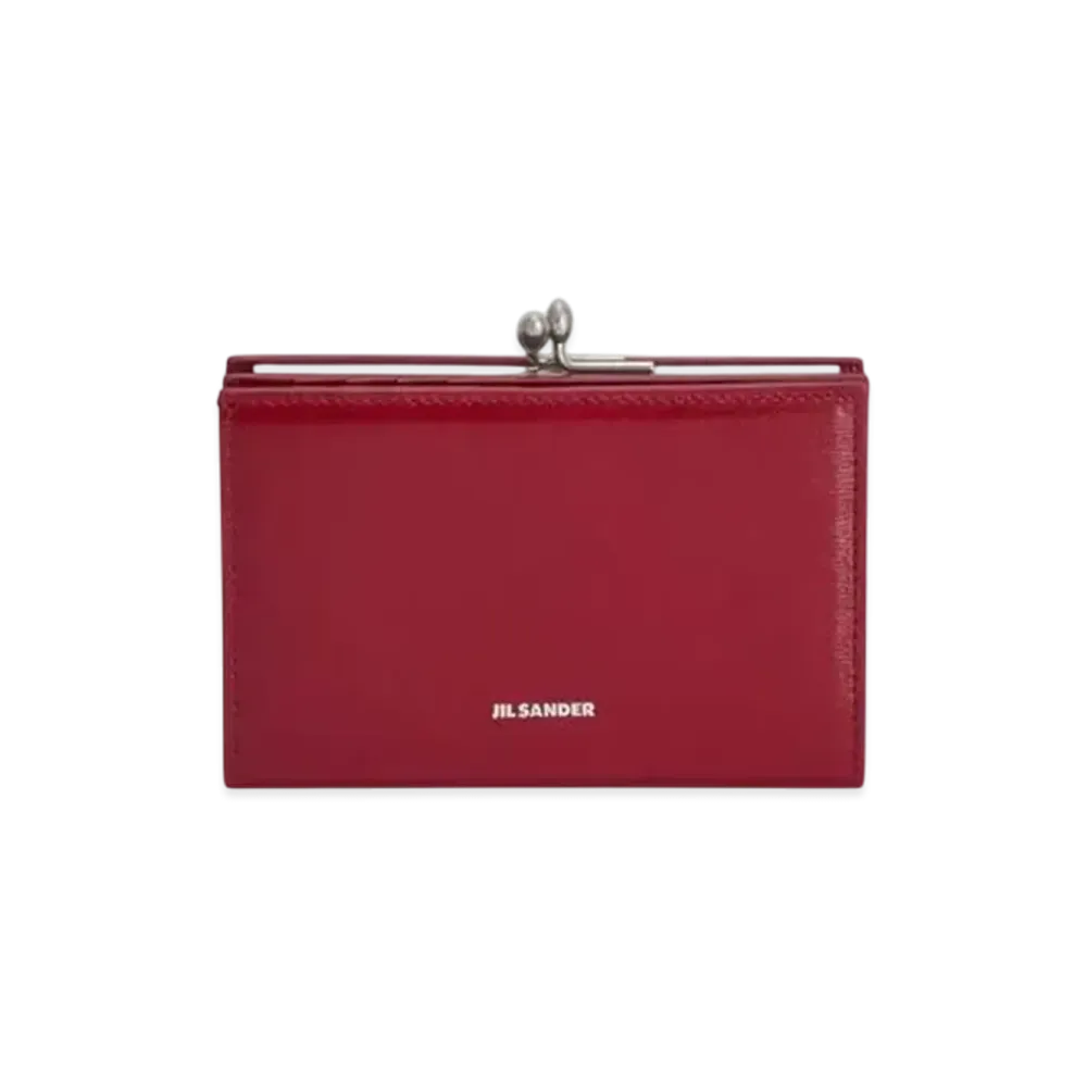 Jil Sander Goji Purse Small "Cedar Red"