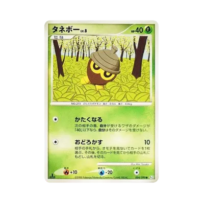 橡實果