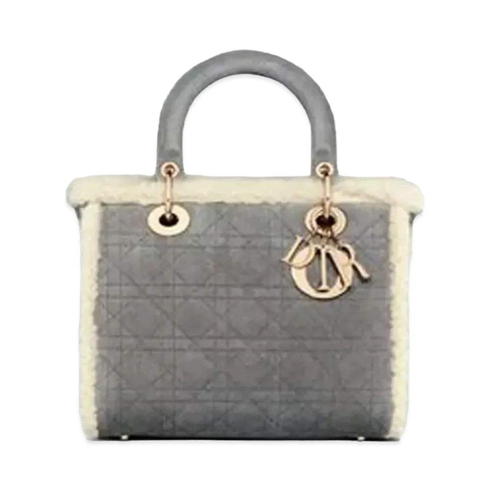 Dior Medium Lady Dior Bag "Gray"
