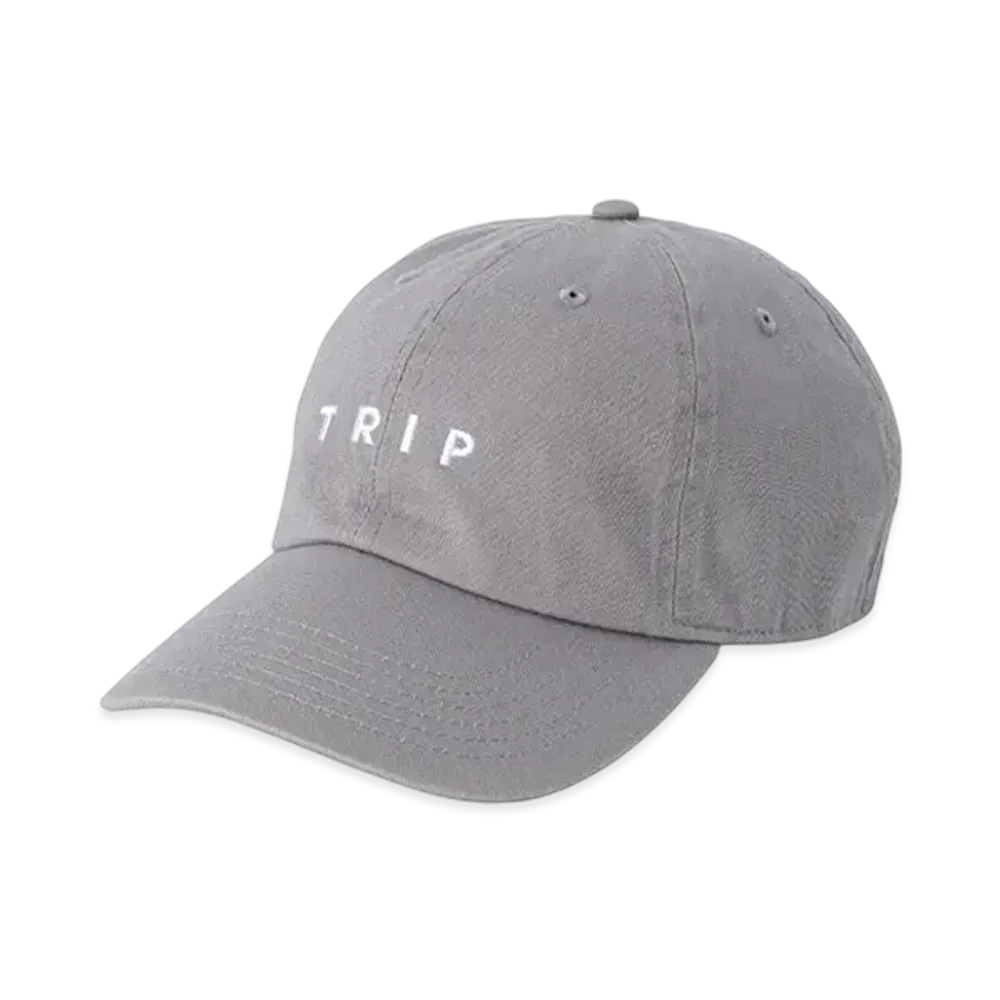 POET MEETS DUBWISE Trip 6 Panel Cap "Grey"