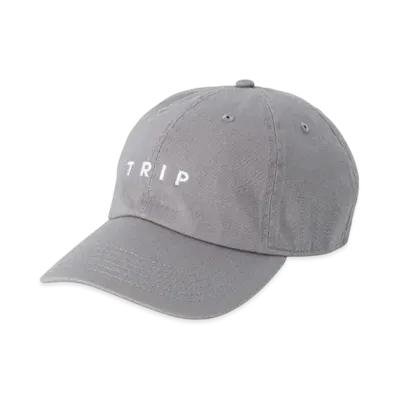 POET MEETS DUBWISE Trip 6 Panel Cap "Grey"