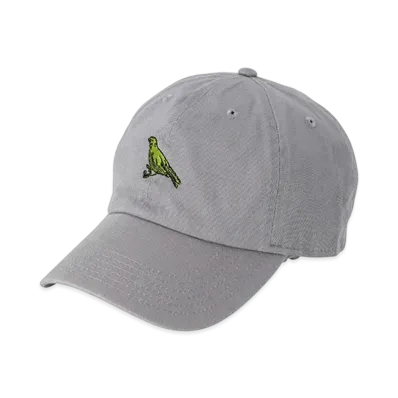 POET MEETS DUBWISE Birder Tours 6 Panel Cap "Grey"