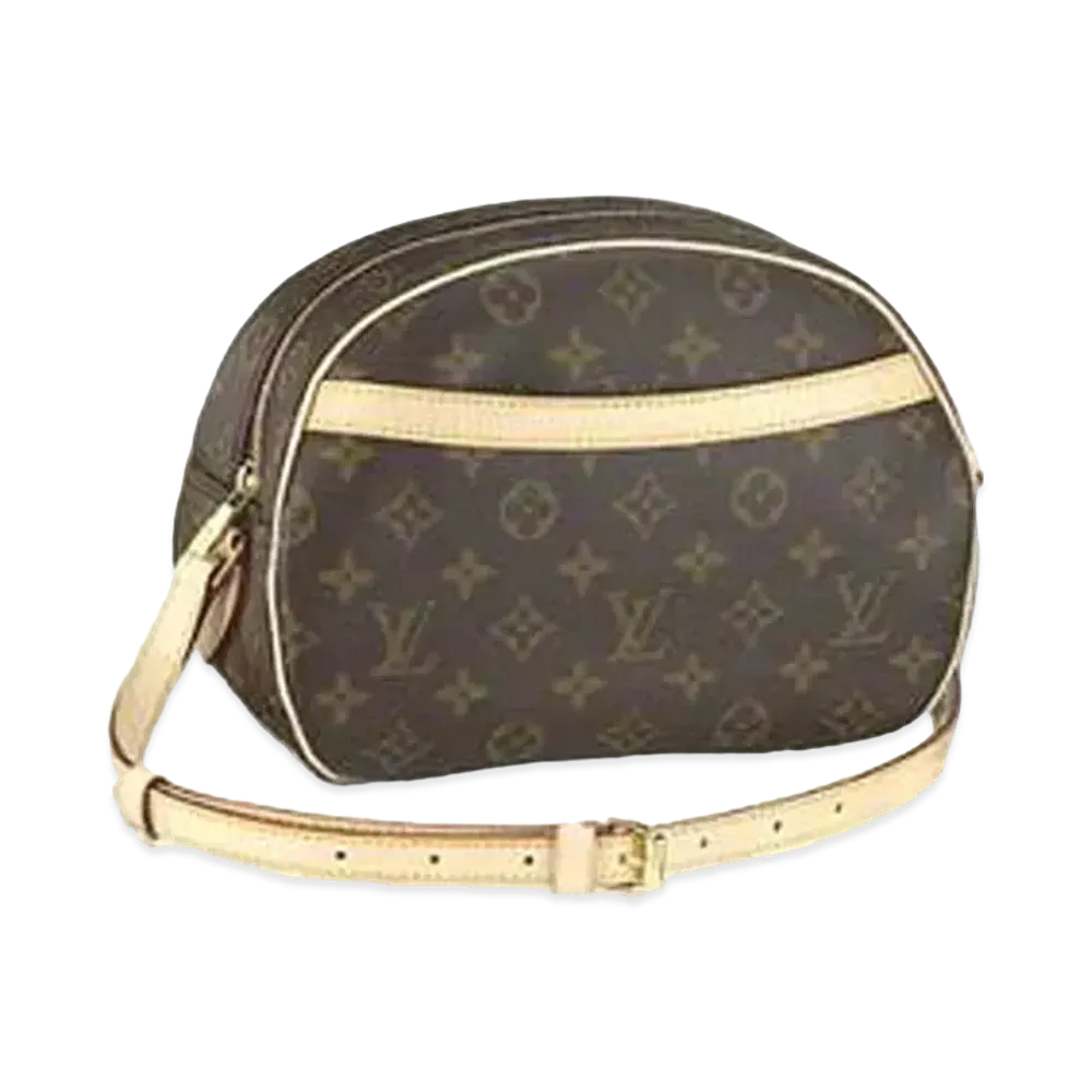 Louis Vuitton Blower Monogram