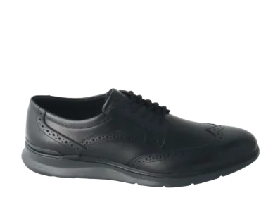 REGAL Wing Tip Calf Leather "Black" 71FLBA
