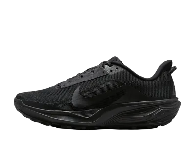 Nike ACG Pegasus Trail "Black/Anthracite"
