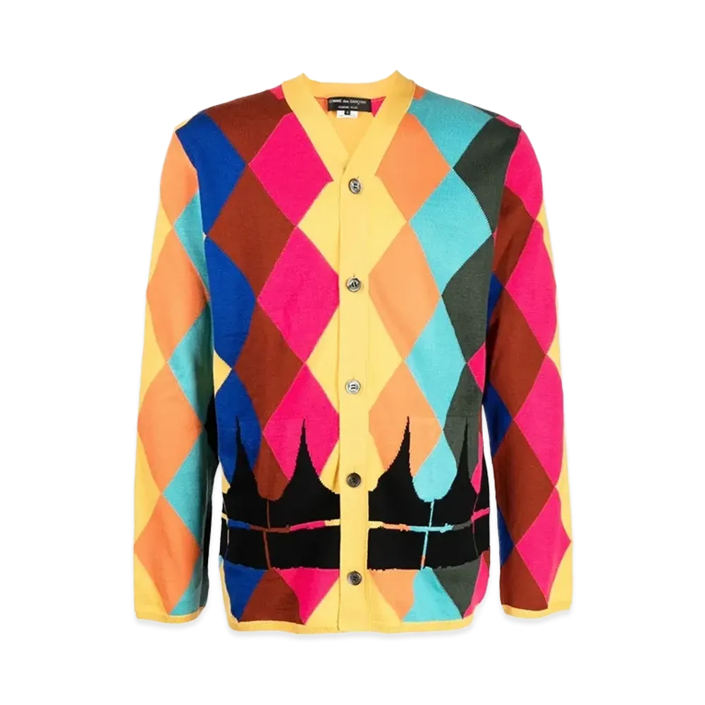COMME des GARCONS HOMME PLUS V-Neck Cardigan "Multi"