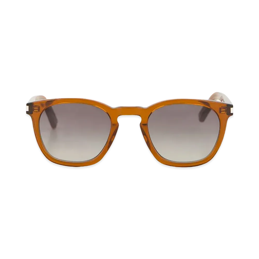 Saint Laurent Sunglasses "Brown"