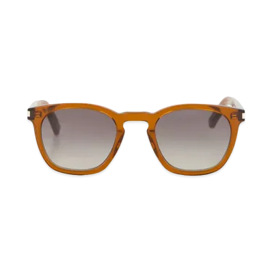 Saint Laurent Sunglasses "Brown"