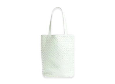 Bottega Veneta Small Intrecciato North-South Tote "Glacier"