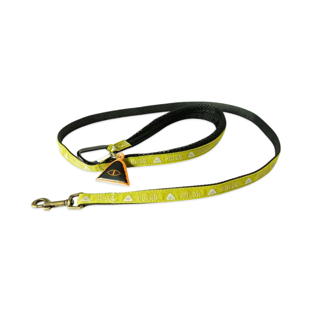 POLeR Dog Leash For Small Dogs "Olive"