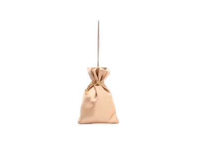 Saint Laurent Women's Evening Pouch "Beige"