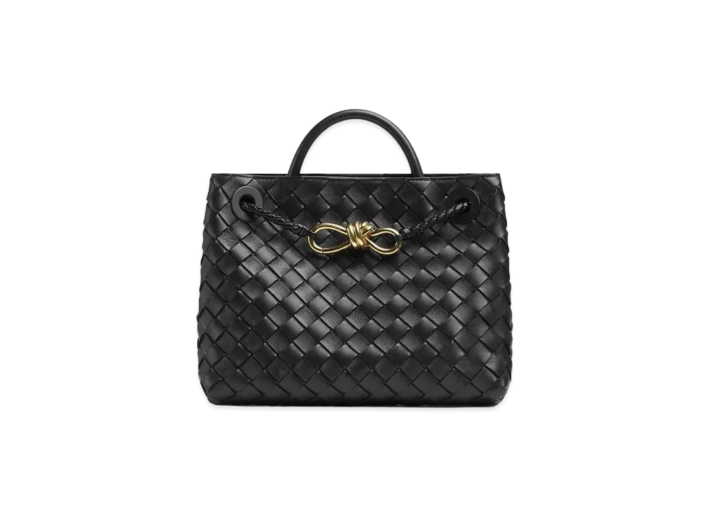 Bottega Veneta Small Andiamo Hand Bag "Black"