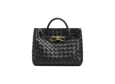Bottega Veneta Small Andiamo Hand Bag "Black"