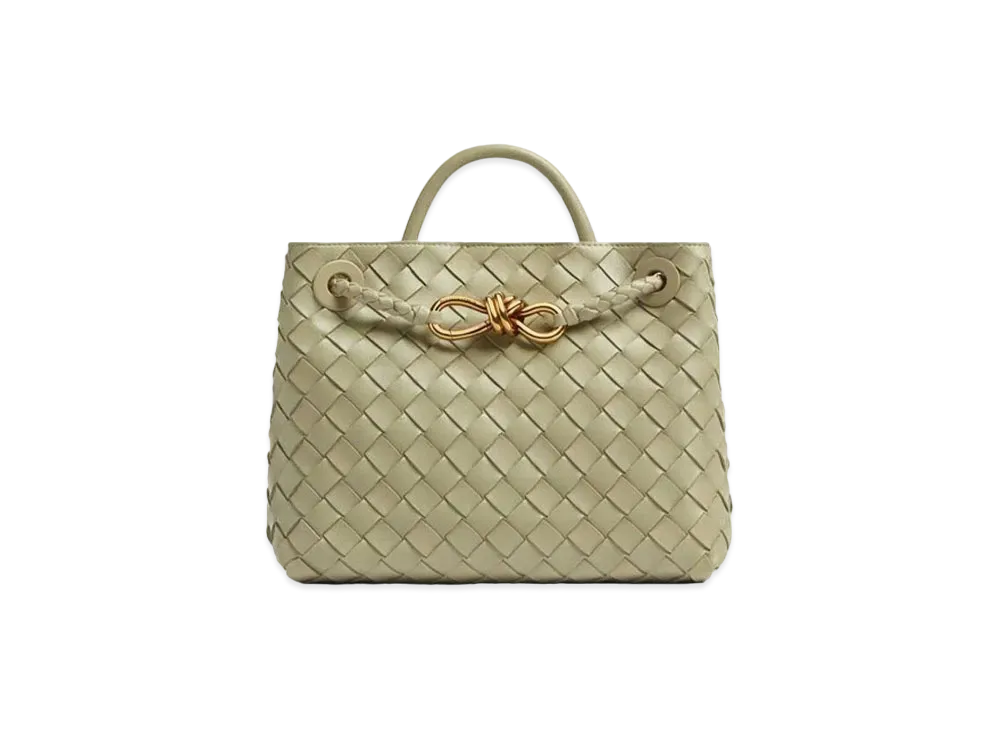 Bottega Veneta Small Andiamo Leather Bag "Travertine"