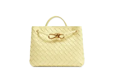 Bottega Veneta Small Andiamo Leather Bag "Icecream"