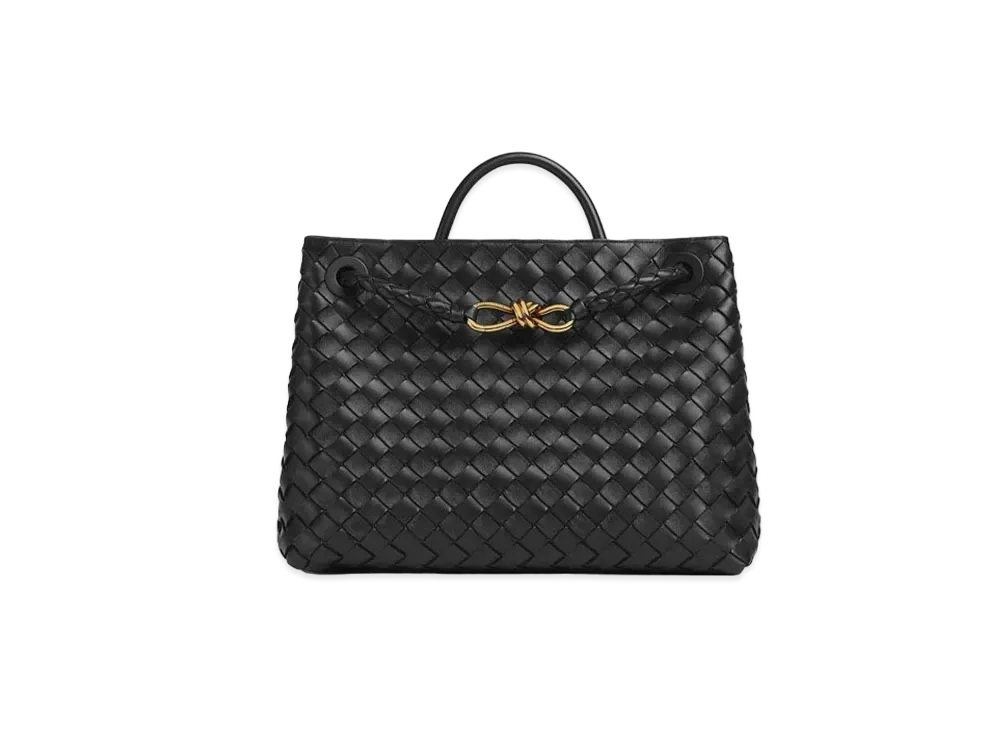 Bottega Veneta Medium Andiamo Hand Bag "Black"
