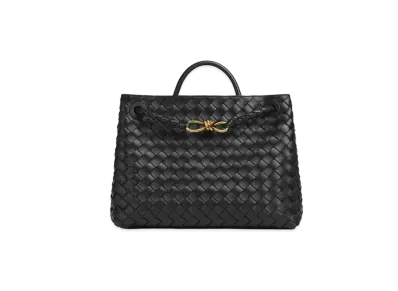 Bottega Veneta Medium Andiamo Hand Bag "Black"
