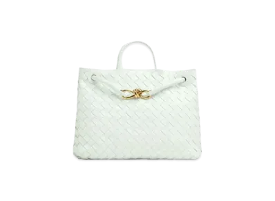 Bottega Veneta Andiamo Medium Hand Bag "Glacier"