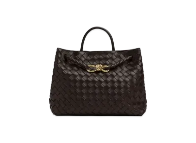 Bottega Veneta Medium Andiamo Hand Bag "Fondente"