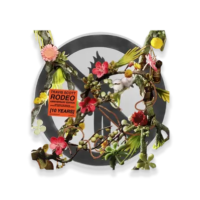 Travis Scott Cactus Jack x RODEO 10 Years Vinyl 2Lp 90210 Edition "Multi"