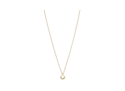Tiffany & Co. Paloma Picasso Olive Leaf Pendant with Pearl "Yellow Gold"