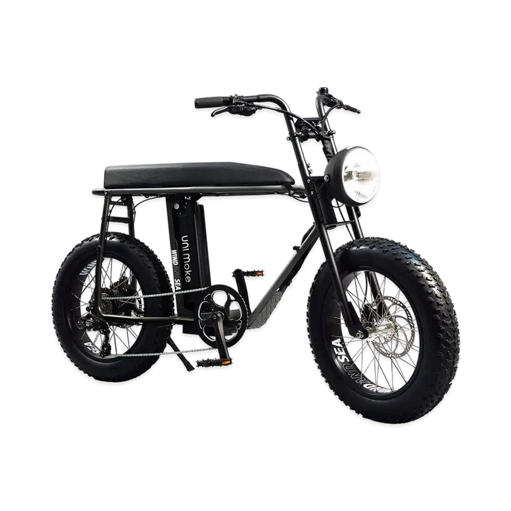 WIND AND SEA x Urban Drivestyle E-Bike "Black"