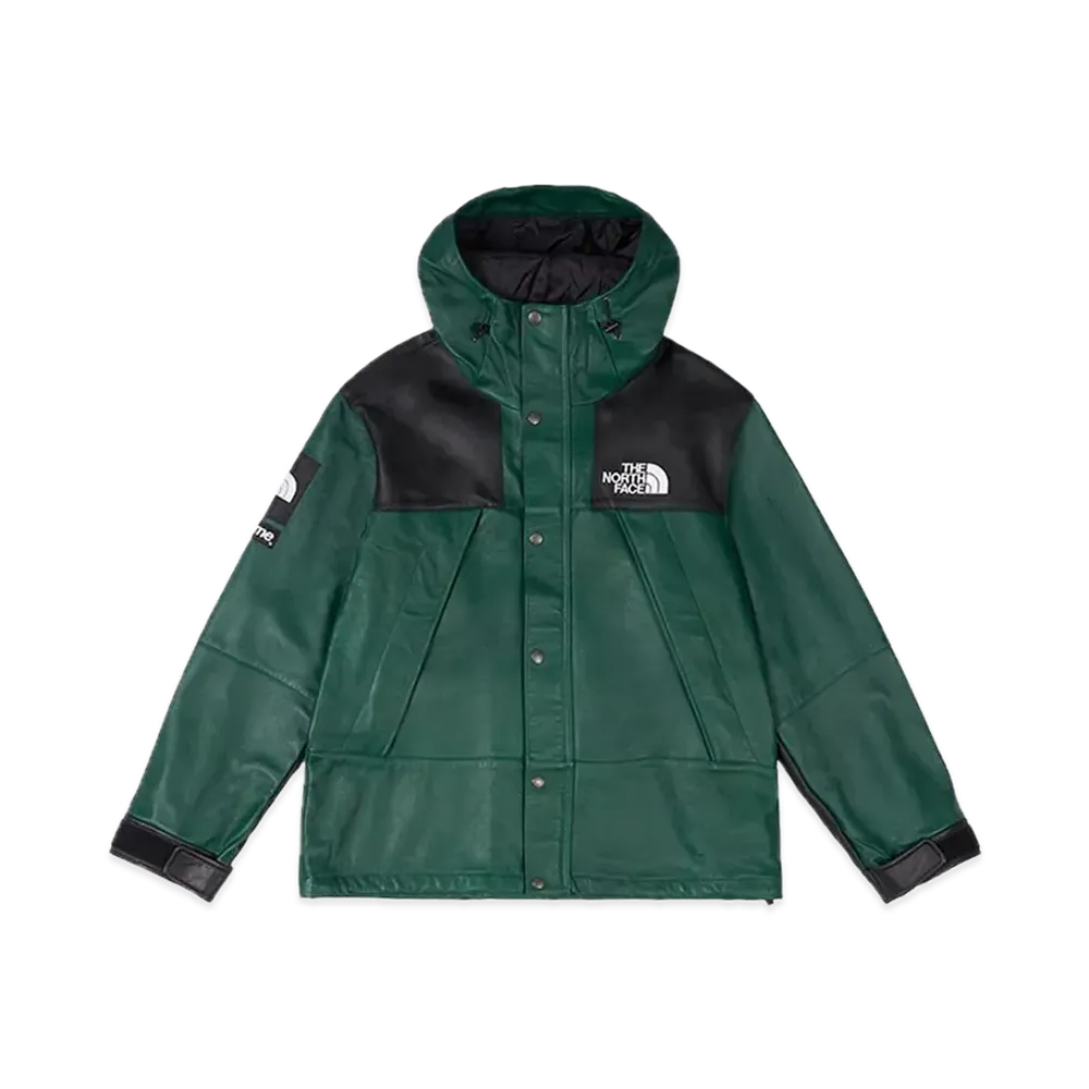 Supreme x The North Face Leather Mountain Parka 