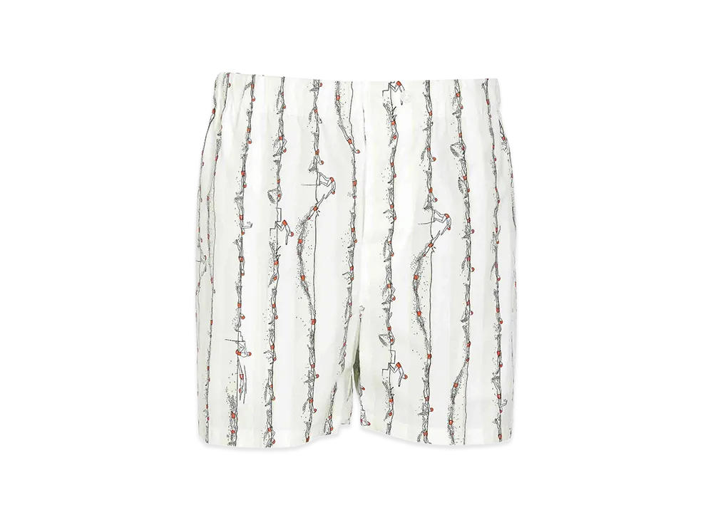 Bottega Veneta Printed Poplin Bermuda Shorts "Multicolor"