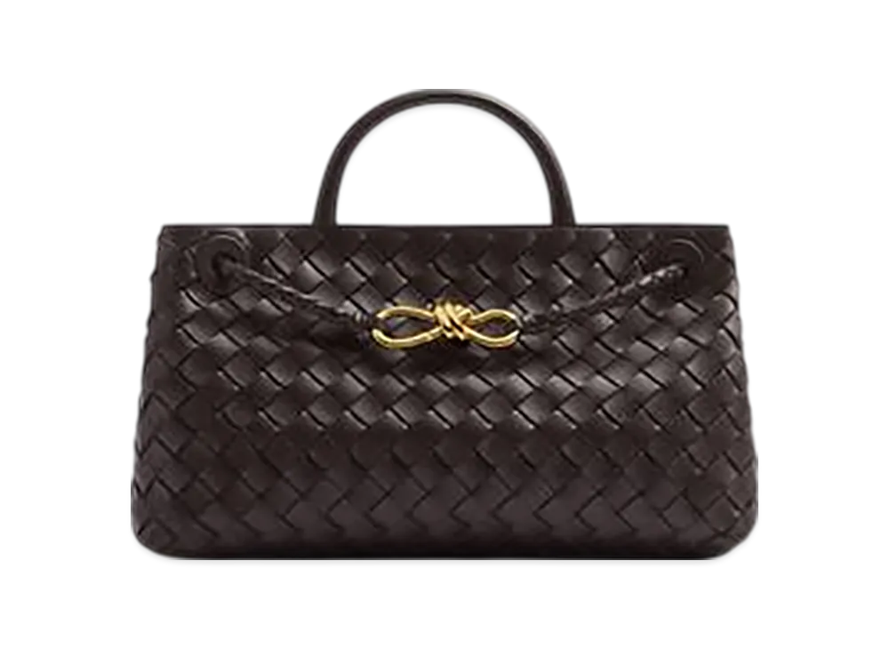Bottega Veneta East-West Andiamo "Fondant"