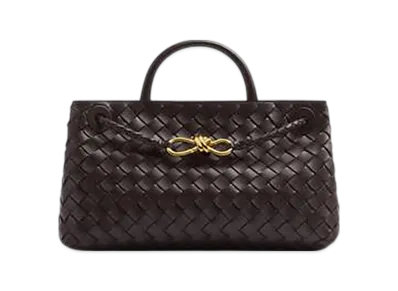 Bottega Veneta East-West Andiamo "Fondant"