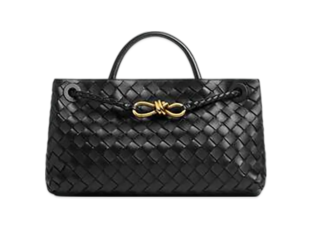 Bottega Veneta East-West Andiamo "Black"