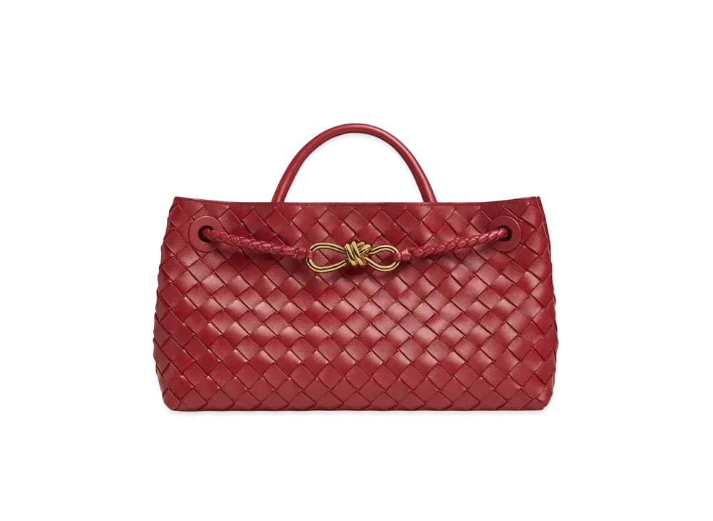 Bottega Veneta East-West Andiamo "Rosewood"