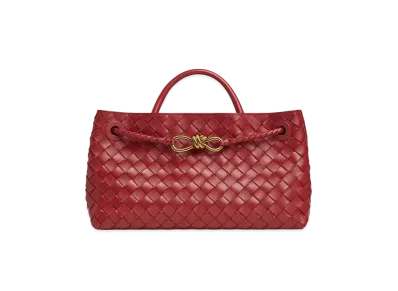Bottega Veneta East-West Andiamo "Rosewood"